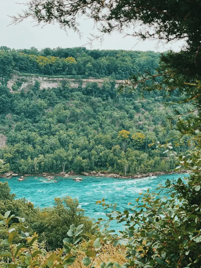 The Crucial Impact of Water on Our Environment
