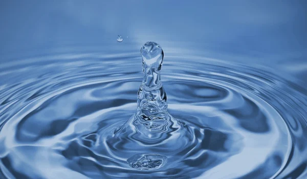Rainwater Rain Water